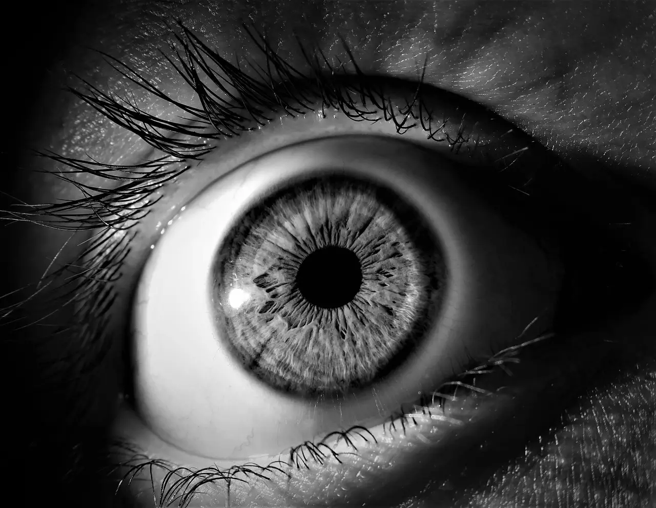 Cooling Systems Enable Machine Vision Cameras | Vision in Action | Spring 2026 - Photonics Spectra